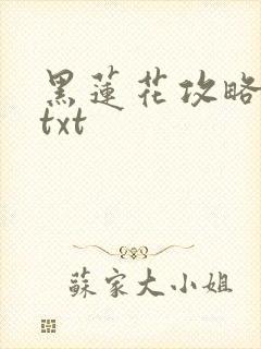 黑莲花攻略手册txt