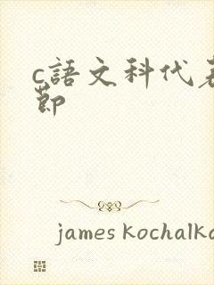 c语文科代表一节