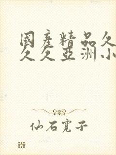 国产精品久久久久久亚洲小说