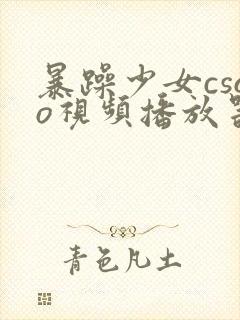 暴躁少女csgo视频播放器推荐