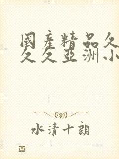 国产精品久久久久久亚洲小说