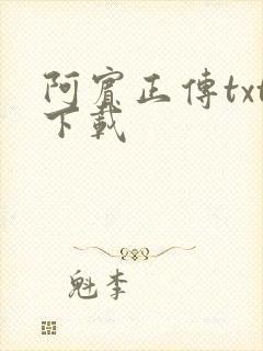 阿宾正传txt下载