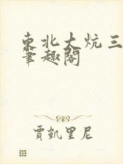 东北大炕三部曲笔趣阁