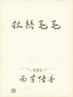 拉丝毛毛