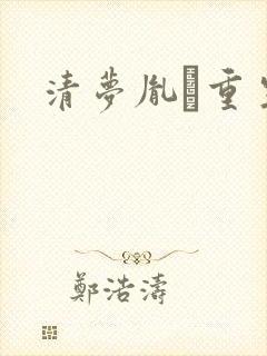 清梦胤礽重生封面