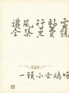 追风行动电视剧全集免费观看