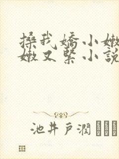 搡我娇小嫩苞又嫩又紧小说