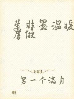 叶非墨温暖在厨房做