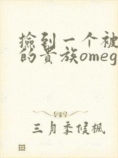 捡到一个被抹布的贵族omega