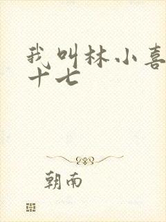 我叫林小喜今年十七