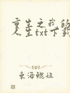 重生之我的书记人生txt下载
