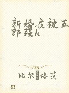 新婚夜被五个伴郎强h