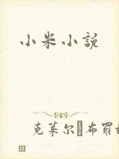小米小说
