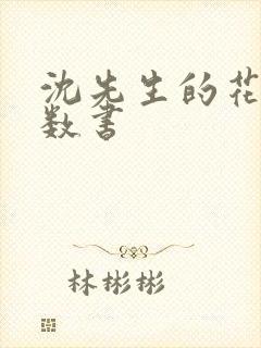 沈先生的花式调数书