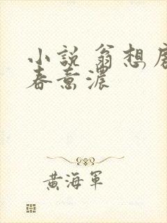 小说 翁想房中春意浓