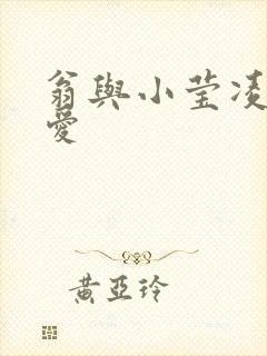 翁与小莹凌晨欢爱封面