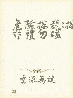 危险总裁:总裁非礼勿碰