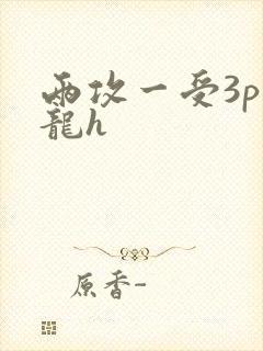 两攻一受3p双龙h