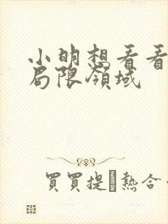 小明想看看永久局限领域封面