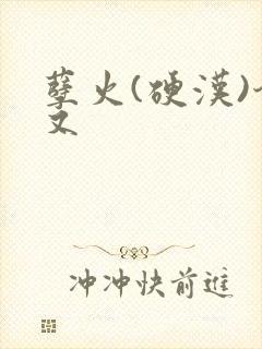 孽火(硬汉)今又