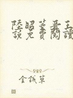 陆昭菱晋王的小说免费阅读封面