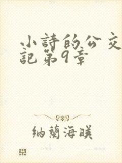 小诗的公交车日记第9章封面