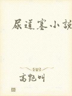 尿道塞小说封面