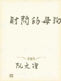 财阀的母狗们