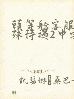 头等舱客服的特殊待遇2中字封面