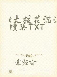 t大校花沉浮录续集TXT