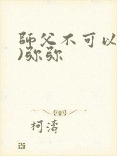 师父不可以(限)弥弥封面