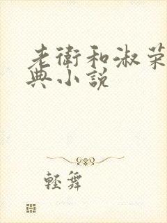 老卫和淑荣的经典小说