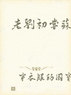 老刘初尝苏荷媳封面