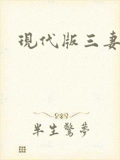 现代版三妻四妾