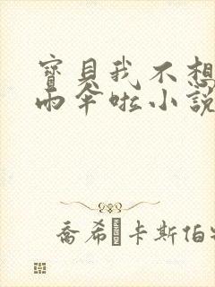 宝贝我不想带小雨伞啦小说