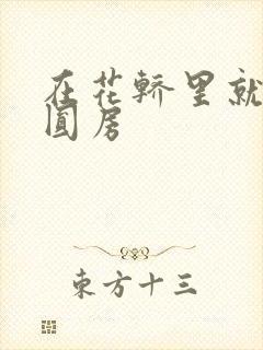 在花轿里就开始圆房