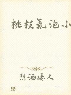 桃枝气泡小说封面