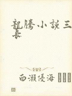 龙腾小说三宝局长封面