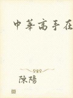中华高手在异世封面