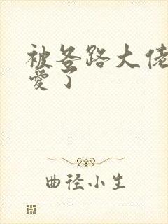 被各路大佬强制爱了封面