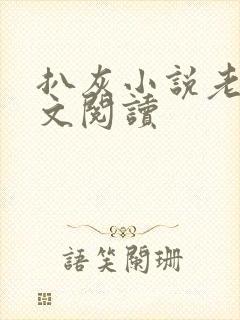 扒灰小说老马全文阅读