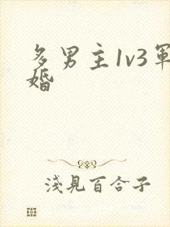 多男主1v3军婚