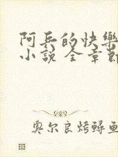 阿兵的快乐生活小说 全章节阅读免费封面