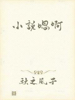 小说嗯啊