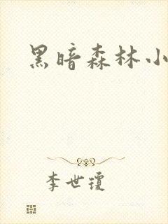 黑暗森林小说