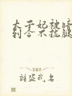 太子妃被暗卫C到合不拢腿