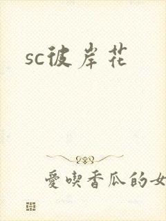 sc彼岸花
