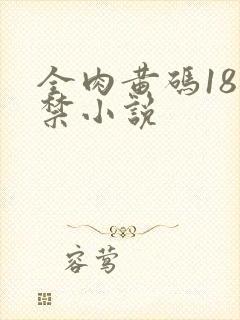 全肉黄码18无禁小说