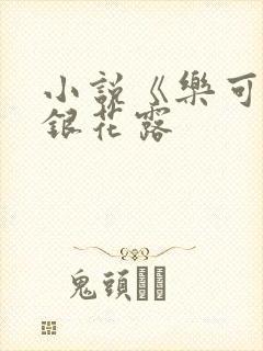 小说《乐可》金银花露封面