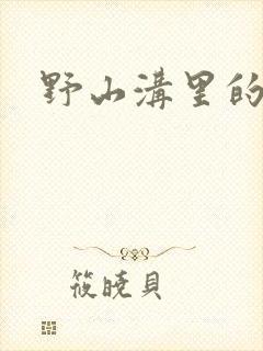 野山沟里的村庄